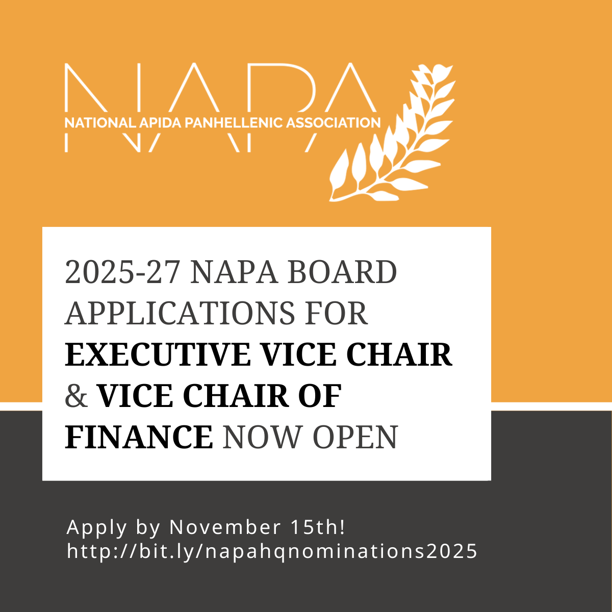 2025-27 NAPA Board Applications for Executive Vice Chair and Vice Chair of Finance Now Open!